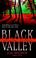 Cover of: Black Valley