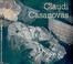 Cover of: Claudi Casanovas (Ceramics Art Monographs)