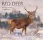 Cover of: Red Deer (Worldlife Library)