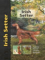 Irish Setter by Margaret Williams