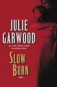 Cover of: Slow Burn: A Novel
