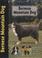 Cover of: Bernese Mountain Dog (Petlove)