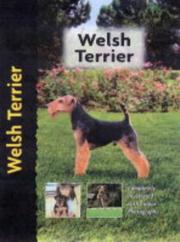 Cover of: Welsh Terrier by Hugh Owen