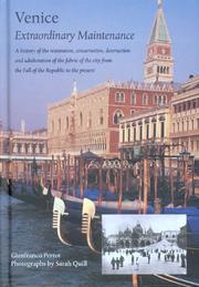 Venice Extraordinary Maintenance by Gianfranco Pertot