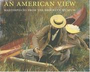 Cover of: An American View by Teresa A. Carbone