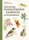 Cover of: Discovering indigenous forests at Kirstenbosch