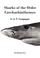 Cover of: Sharks of the order Carcharhiniformes