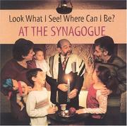 Cover of: Look What I See! Where Can I Be?: At the Synagogue (Michels, Dia L. Look What I See! Where Can I Be?, 5.)