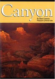 Canyon by Eileen Cameron