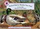 Cover of: Mallard Duck Meadow View Pond (Smithsonians Backyard)