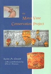 Cover of: The Maya Vase Conservation Project