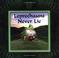 Cover of: Leprechauns never lie