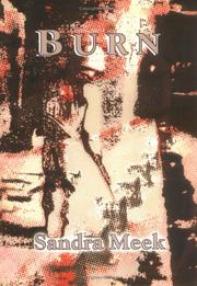 Cover of: Burn by Sandra Meek