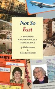 Cover of: Not So Fast: A European Grand Tour at a Mid-life Pace