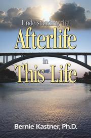 Cover of: Understanding the Afterlife in This Life