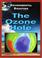 Cover of: The ozone hole