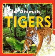 Cover of: Tigers by Kate Petty