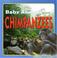 Cover of: Chimpanzees