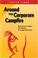 Cover of: Around the corporate campfire