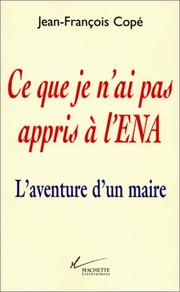 Cover of: Ce que je n'ai pas appris à l'ENA: l'aventure d'un maire