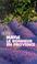 Cover of: Le Bonheur en Provence