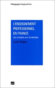 Cover of: L' enseignement professionnel en France: des ouvriers aux techniciens