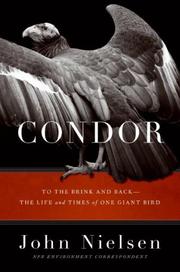 Condor by John Nielsen