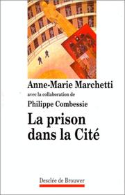Cover of: La prison dans la cité