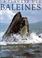Cover of: La planète des baleines