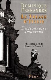 Cover of: Le voyage d'Italie: dictionnaire amoureux