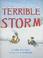 Cover of: Terrible Storm