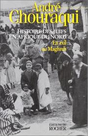 Cover of: Histoire des Juifs en Afrique du Nord, tome 1 : En exil au Maghreb
