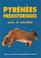 Cover of: Pyrenees prehistoriques: Arts et societes 