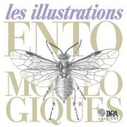 Cover of: Les illustration entomologiques by textes, documentation et iconographie par Jacques d'Aguilar ... [et al.].