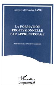 Cover of: La formation professionnelle par apprentissage by Laurence Rame