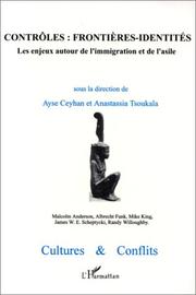 Contrôles : frontières-identités by Anastassia Tsoukala