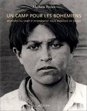 Cover of: Un camp pour les Bohémiens by [sous la direction de] Mathieu Pernot ; textes de Henriette Asséo et Marie-Christine Hubert.