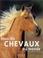 Cover of: Tous les chevaux du monde