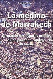 Cover of: La médina de Marrakech by Quentin Wilbaux