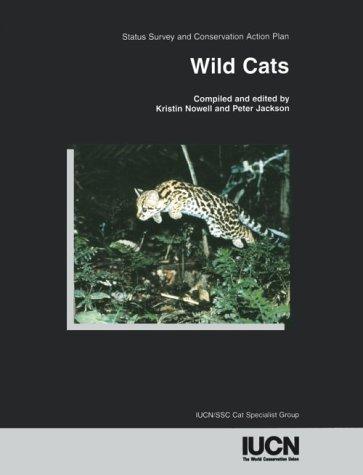 Wild Cats by 