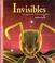 Cover of: Invisibles