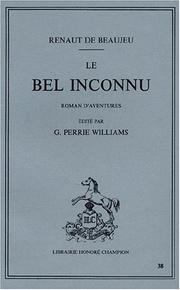 Cover of: Le Bel Inconnu (Collection Essais)