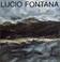 Cover of: Lucio Fontana