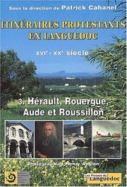 Cover of: Itinéraires protestants en Languedoc du XVIe au XXe siècle by sous la direction de Patrick Cabanel.