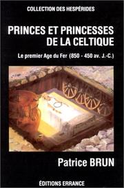 Cover of: Princes et princesses de la celtique by Patrice Brun, Patrice Brun