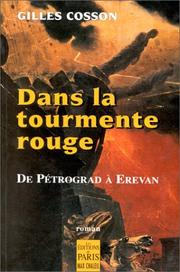 Cover of: Dans la tourmente rouge: de Petrograd à Erevan : roman