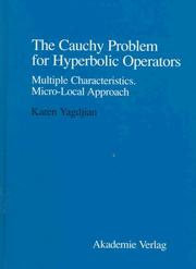 Cover of: The Cauchy problem for hyperbolic operators by Karen Yagdjian