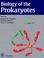 Cover of: The Biology of the Procaryotes