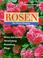 Cover of: Rosen. Der Praxis-Ratgeber.