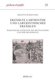 Cover of: Erzählte Labyrinthe und labyrinthisches Erzählen. Romanische Literatur des Mittelalters und der Renaissance.